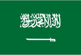 沙特阿拉伯 商务签证（包签证）